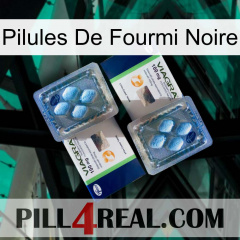 Black Ant Pills viagra5
